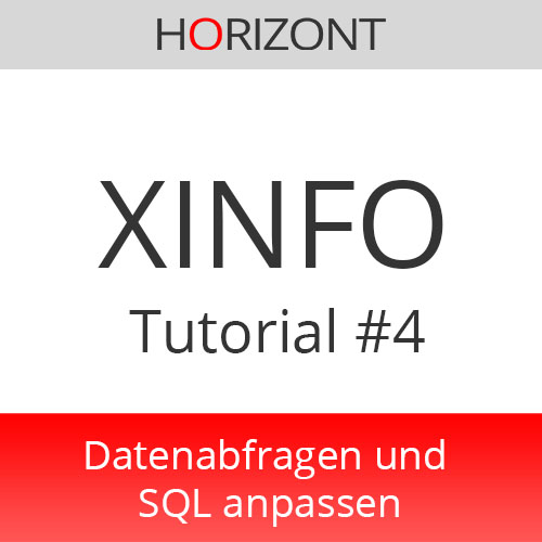 XINFO Tutorial nº 4 - Personalizar las consultas de datos y SQL